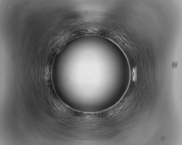 X0000099421395200805091232