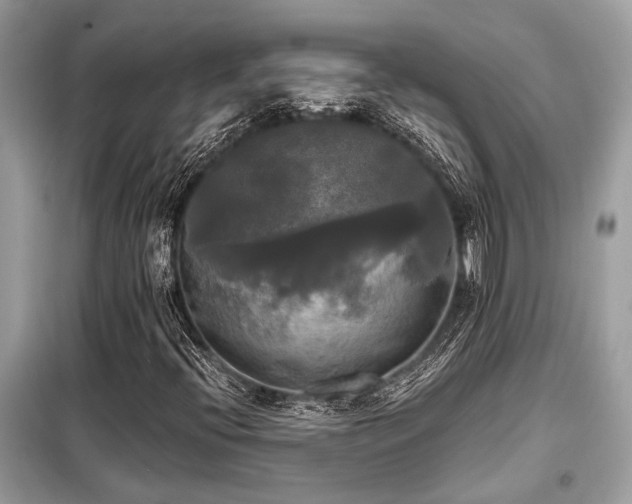 X0000099421396200805091232