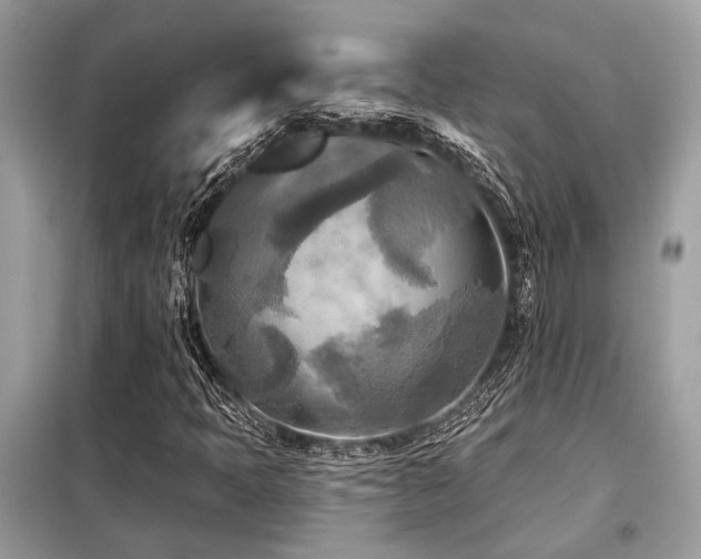 X0000099421397200805091232