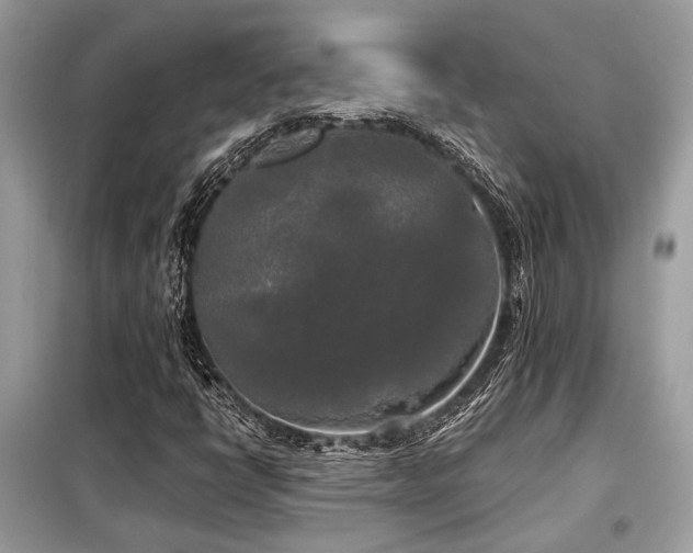 X0000099421398200805091232