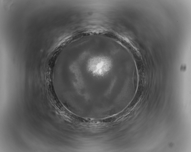 X0000099421399200805091232