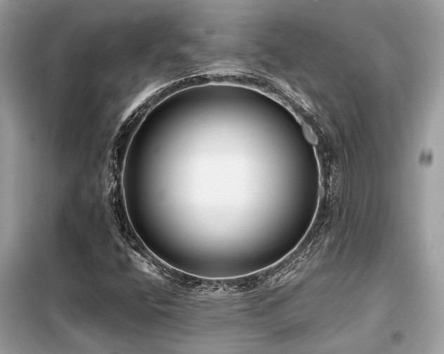 X0000099421400200805091232
