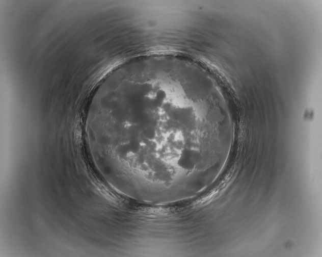 X0000099421401200805091232