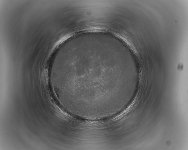 X0000099421402200805091232
