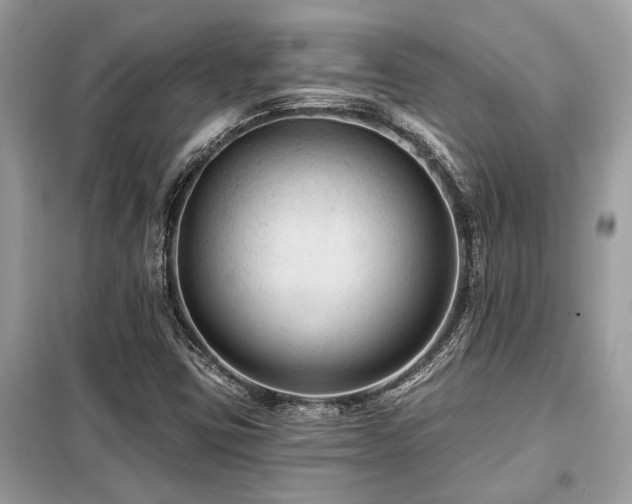 X0000099421403200805091232