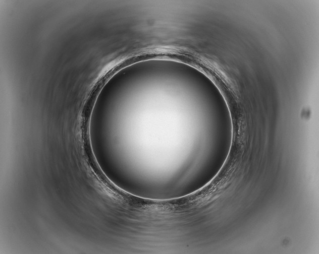 X0000099421404200805091232
