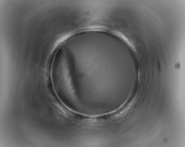 X0000099421405200805091232