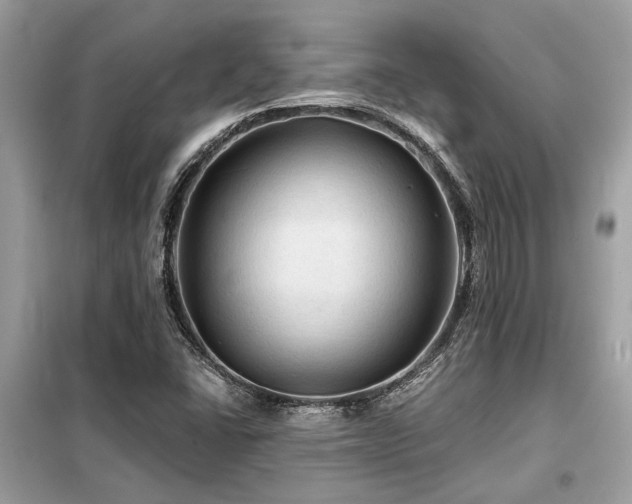 X0000099421406200805091232