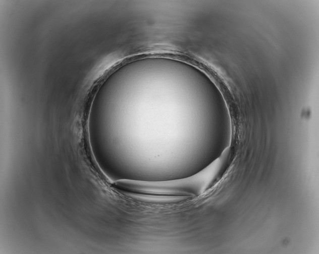 X0000099421407200805091232