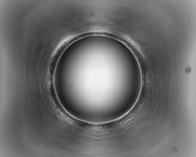 X0000099421408200805091232