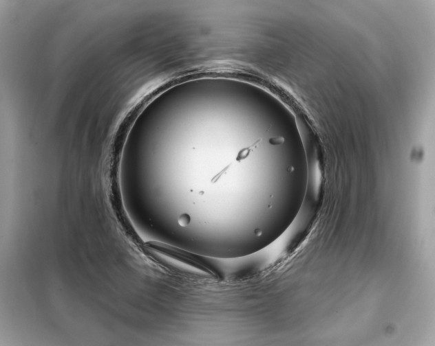 X0000099421410200805091232