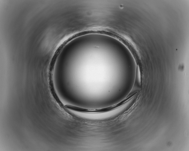 X0000099421412200805091232