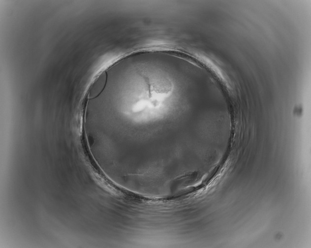X0000099421413200805091232