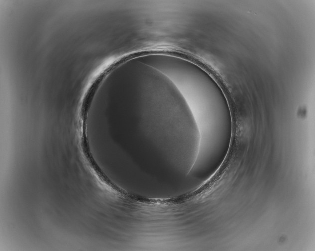 X0000099421414200805091232