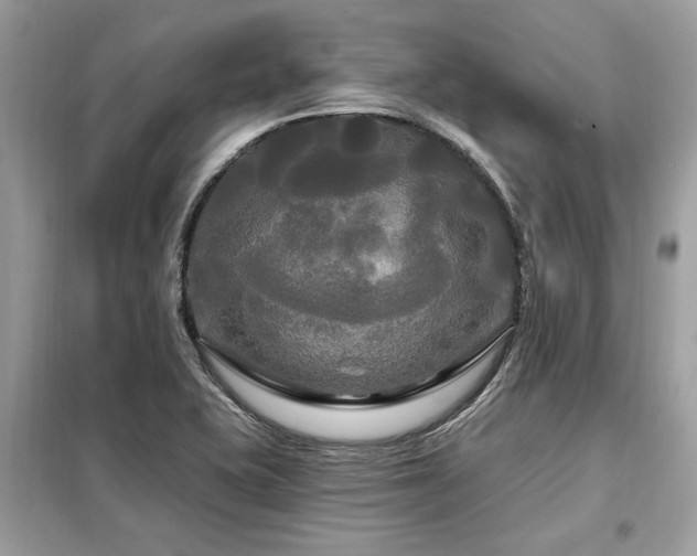X0000099421415200805091232