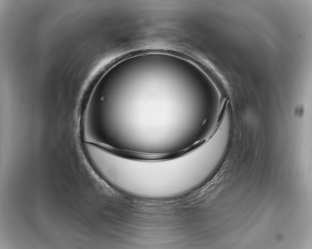 X0000099421416200805091232
