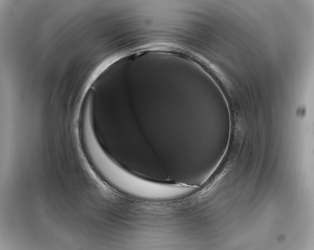X0000099421418200805091232