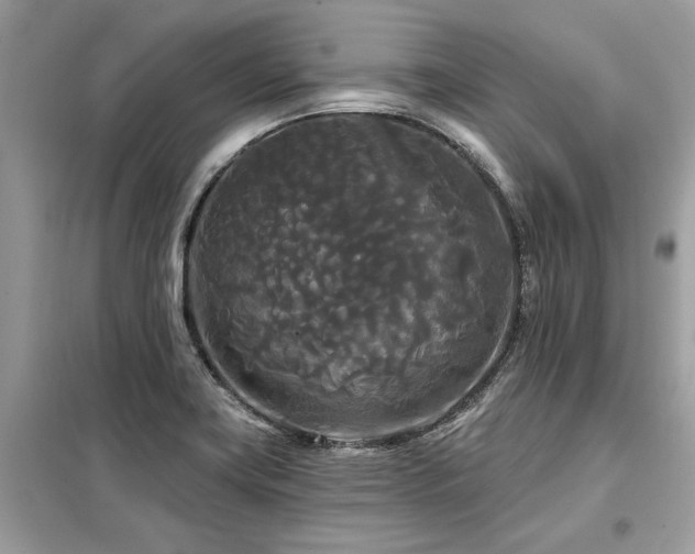 X0000099421419200805091232