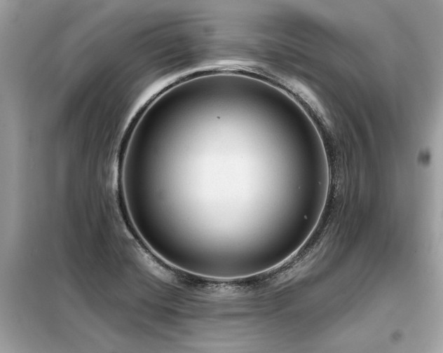 X0000099421420200805091232