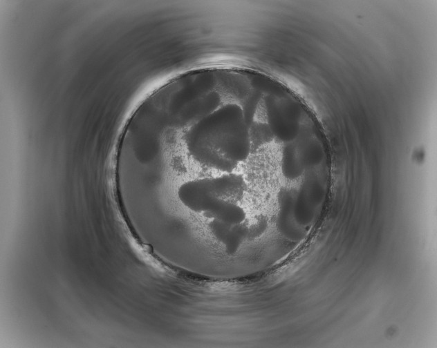 X0000099421421200805091232