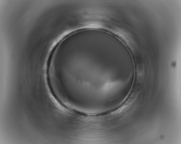 X0000099421422200805091232