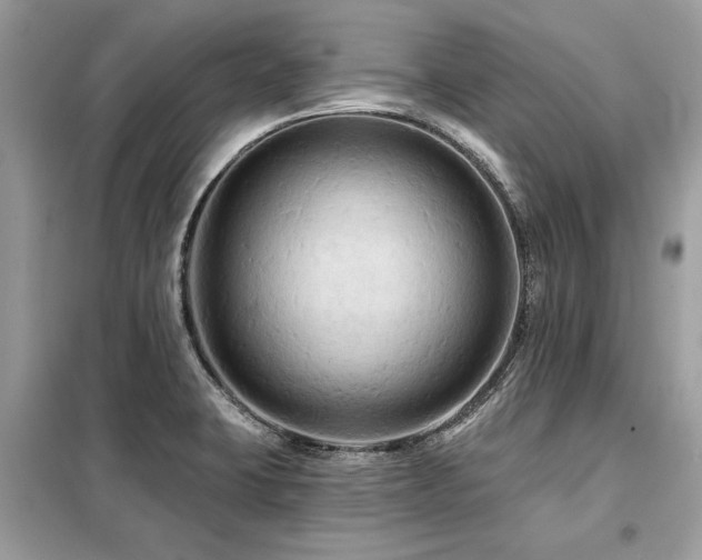 X0000099421423200805091232