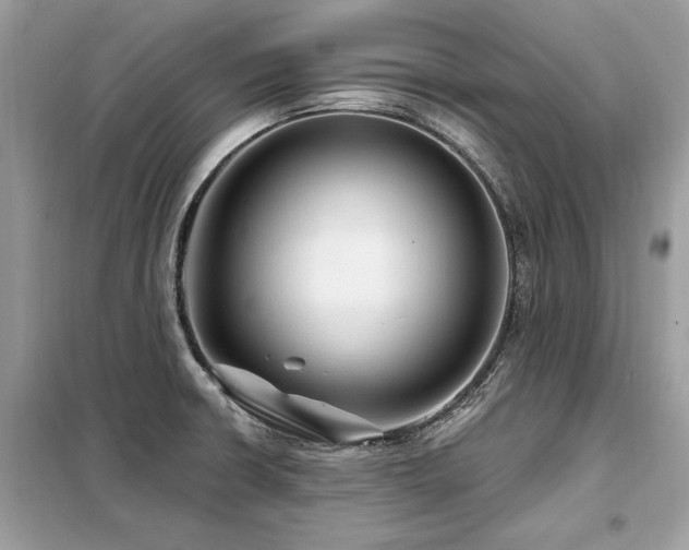 X0000099421426200805091232