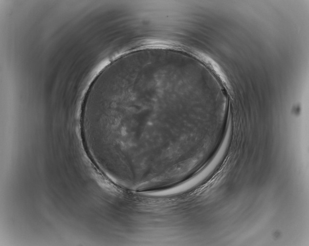 X0000099421427200805091232
