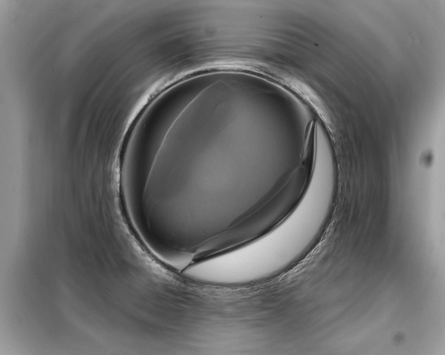 X0000099421428200805091232