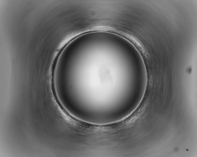 X0000099421430200805091232