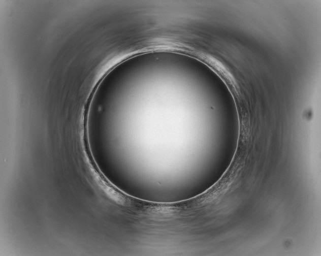 X0000099421431200805091232