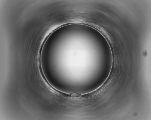 X0000099421432200805091232