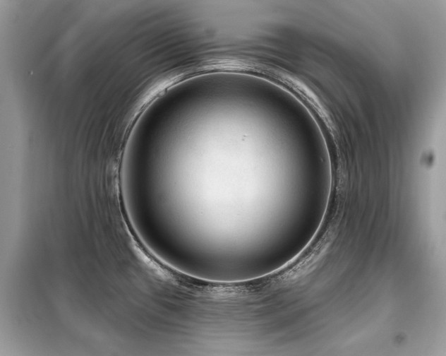 X0000099421433200805091232
