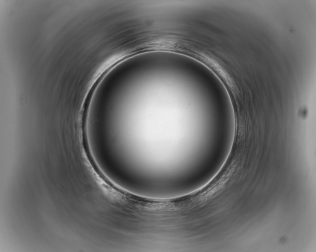 X0000099421434200805091232