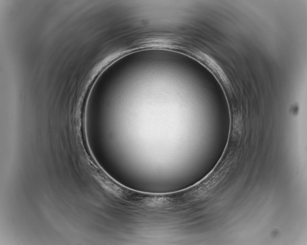 X0000099421435200805091232