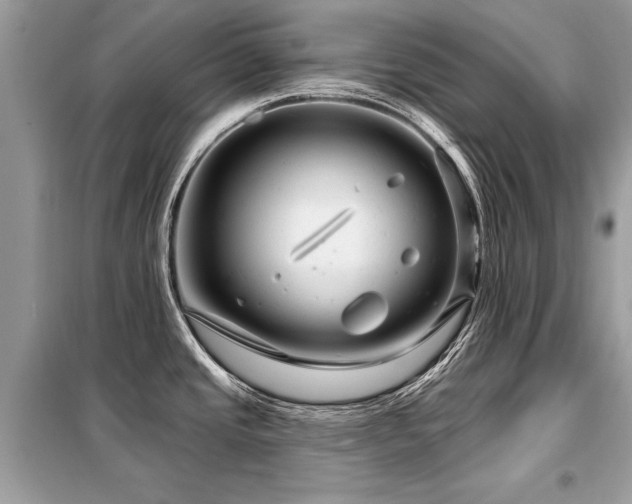 X0000099421437200805091233