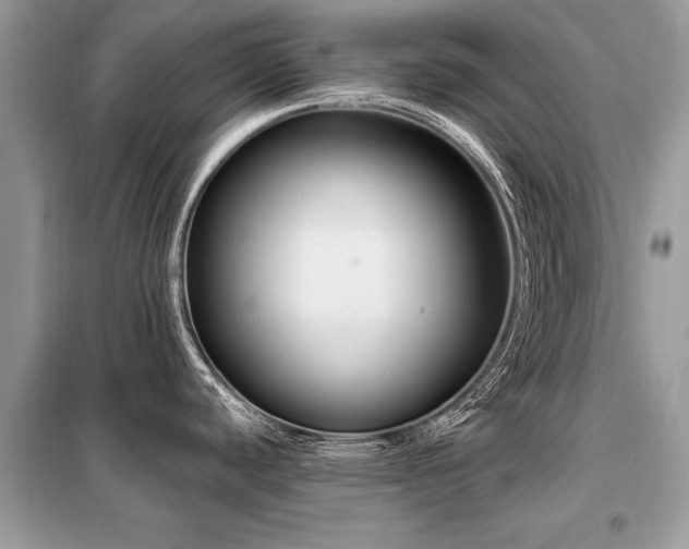 X0000099421440200805091233