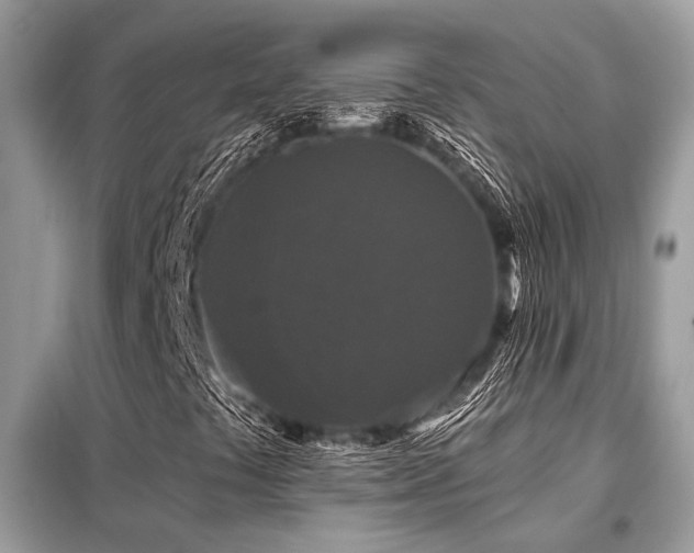 X0000099421441200805091232