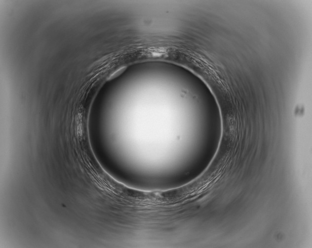 X0000099421442200805091232