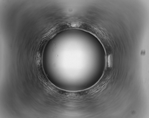 X0000099421443200805091232