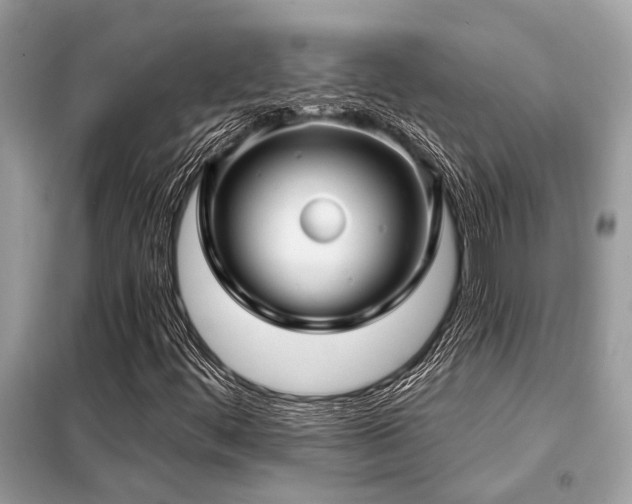 X0000099421444200805091232