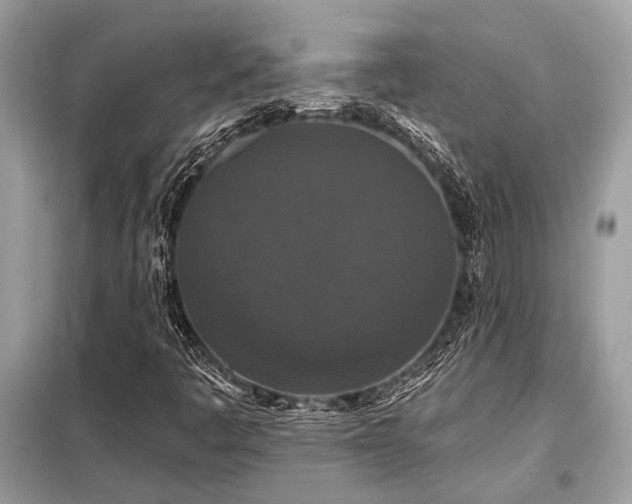 X0000099421445200805091232