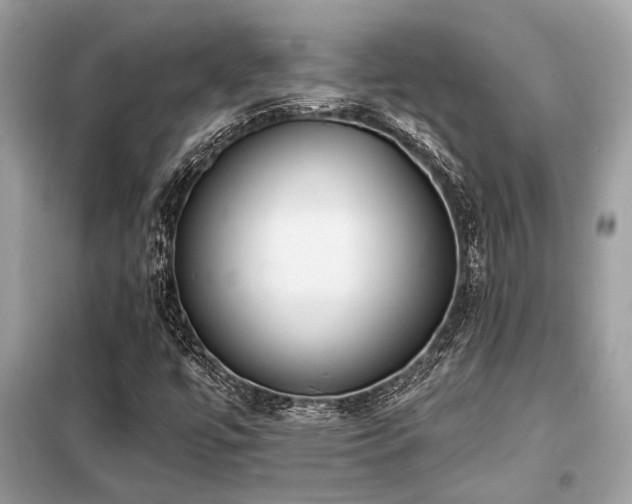 X0000099421447200805091232