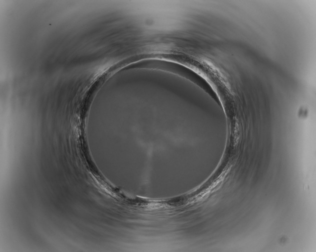 X0000099421449200805091232