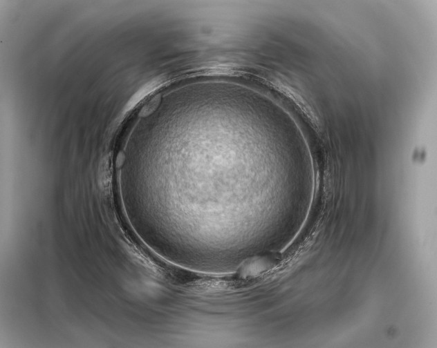 X0000099421450200805091232