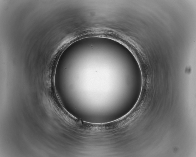 X0000099421451200805091232