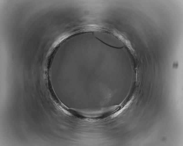 X0000099421453200805091232