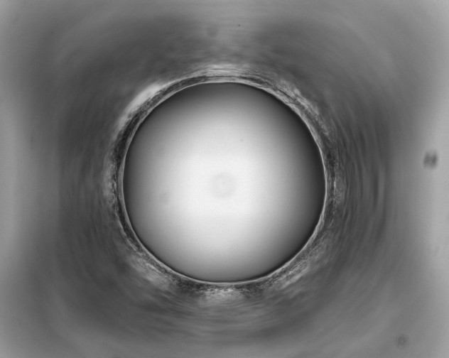 X0000099421454200805091232