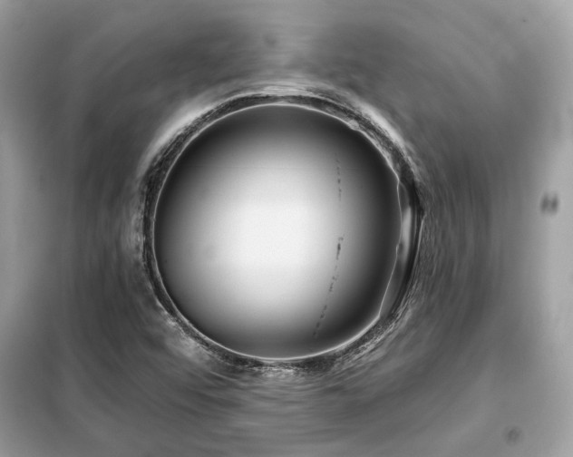 X0000099421456200805091232