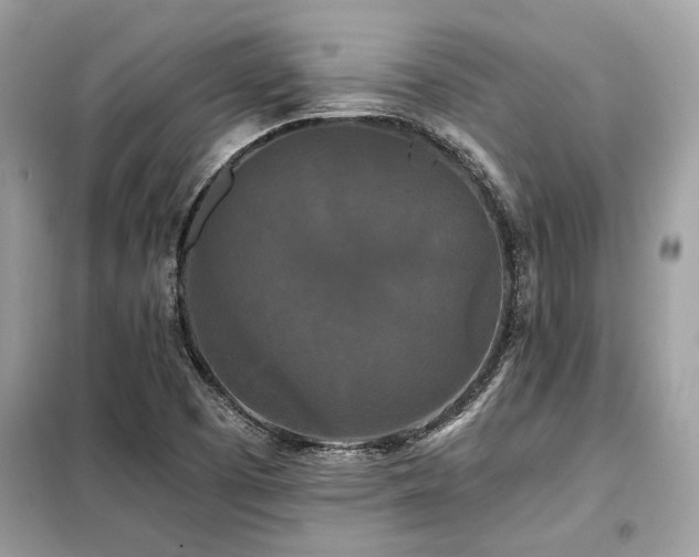 X0000099421457200805091232